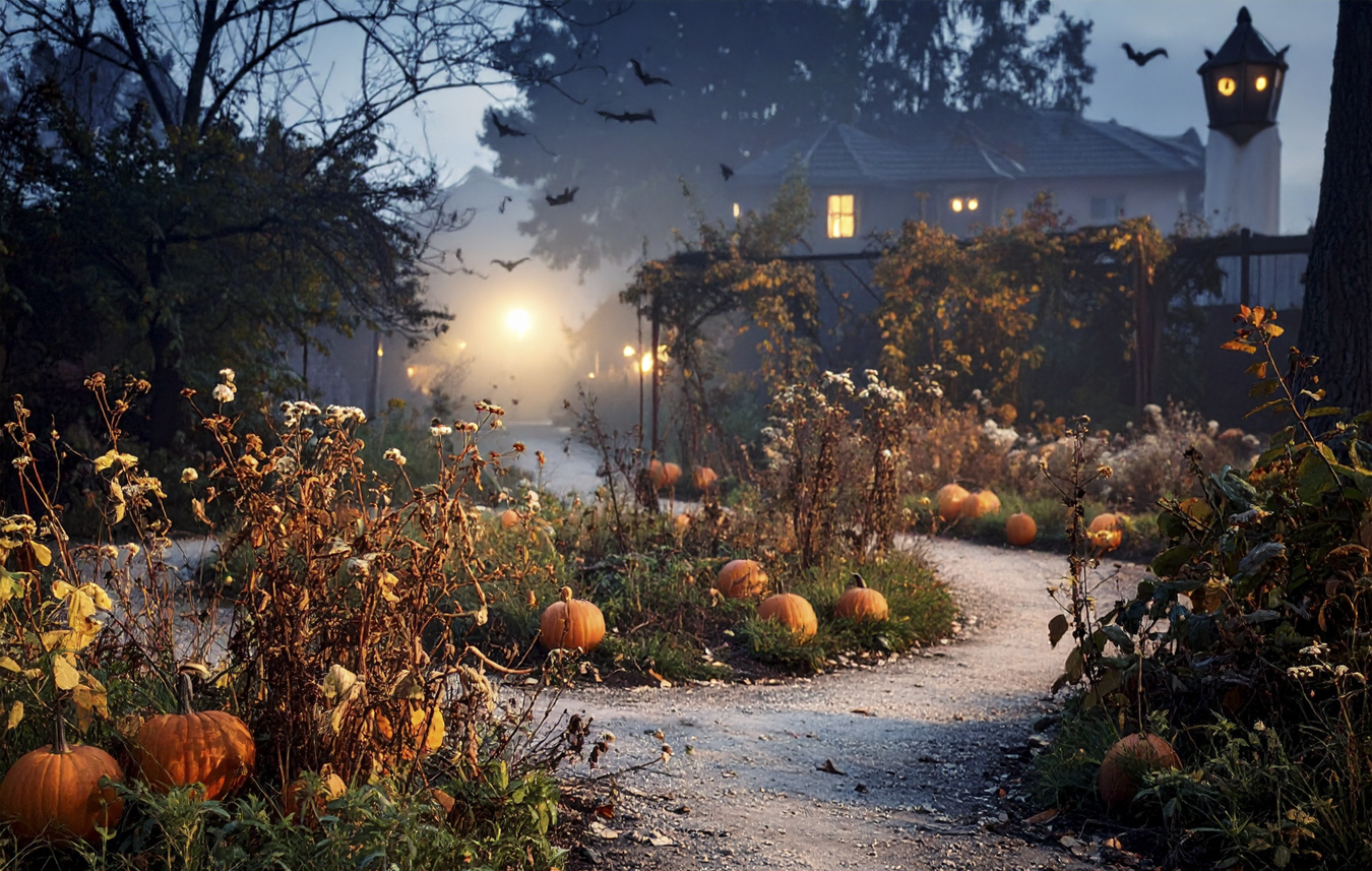 spökligt upplyst väg med pumpor på skansen