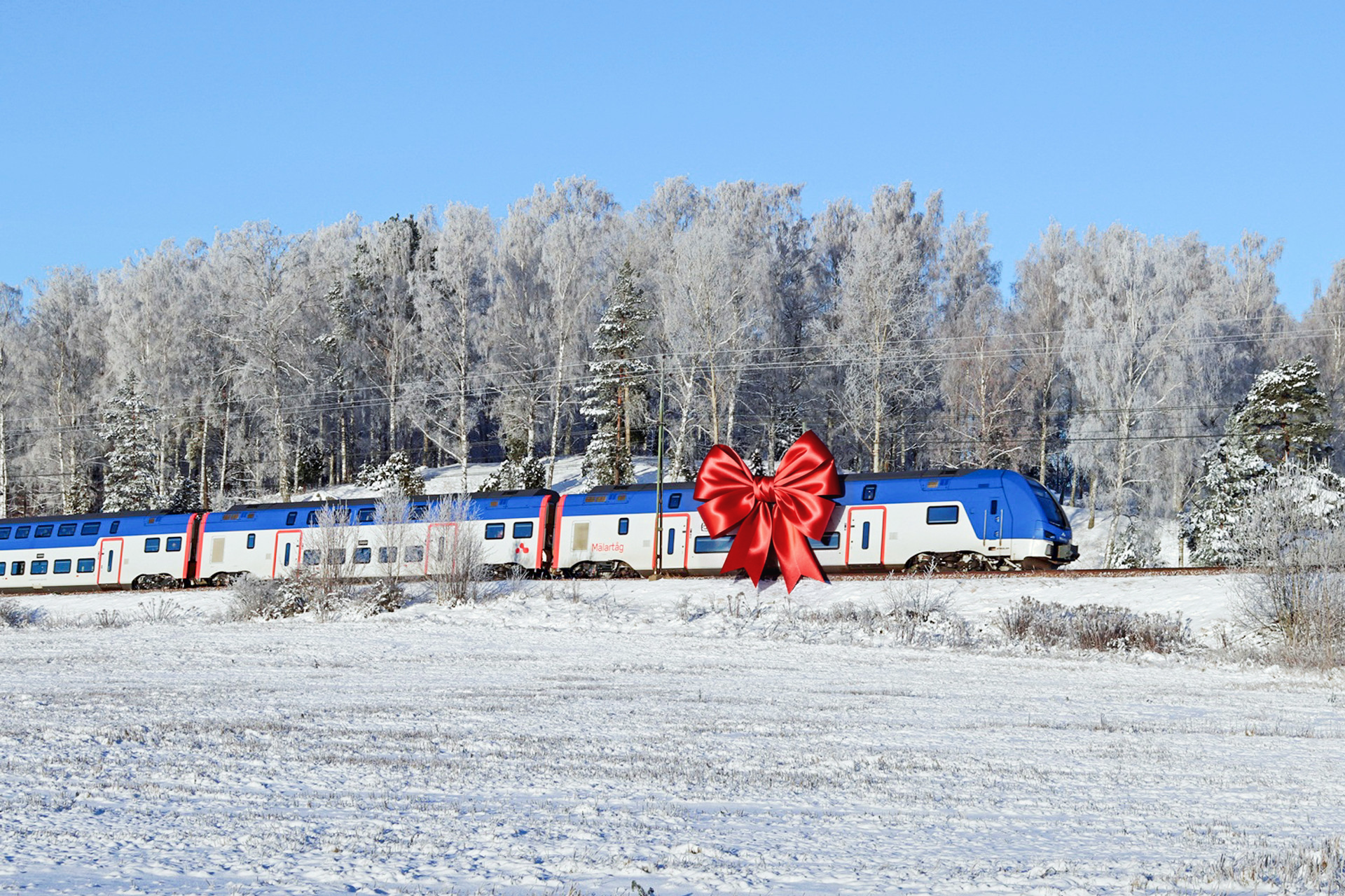 mälartåg med en stor röd rosett monterad på sig (artificiellt)