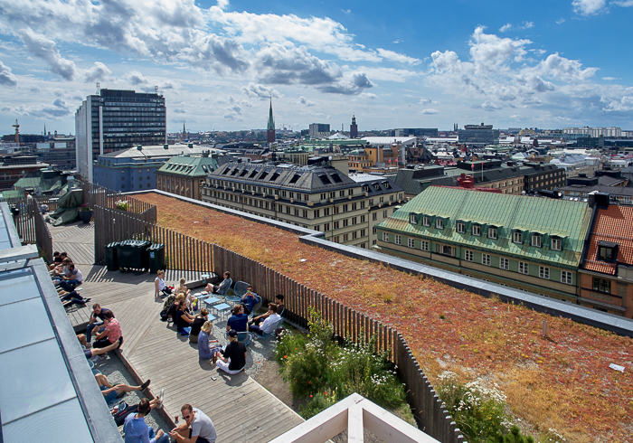 personer som sitter och hänger på takparken
